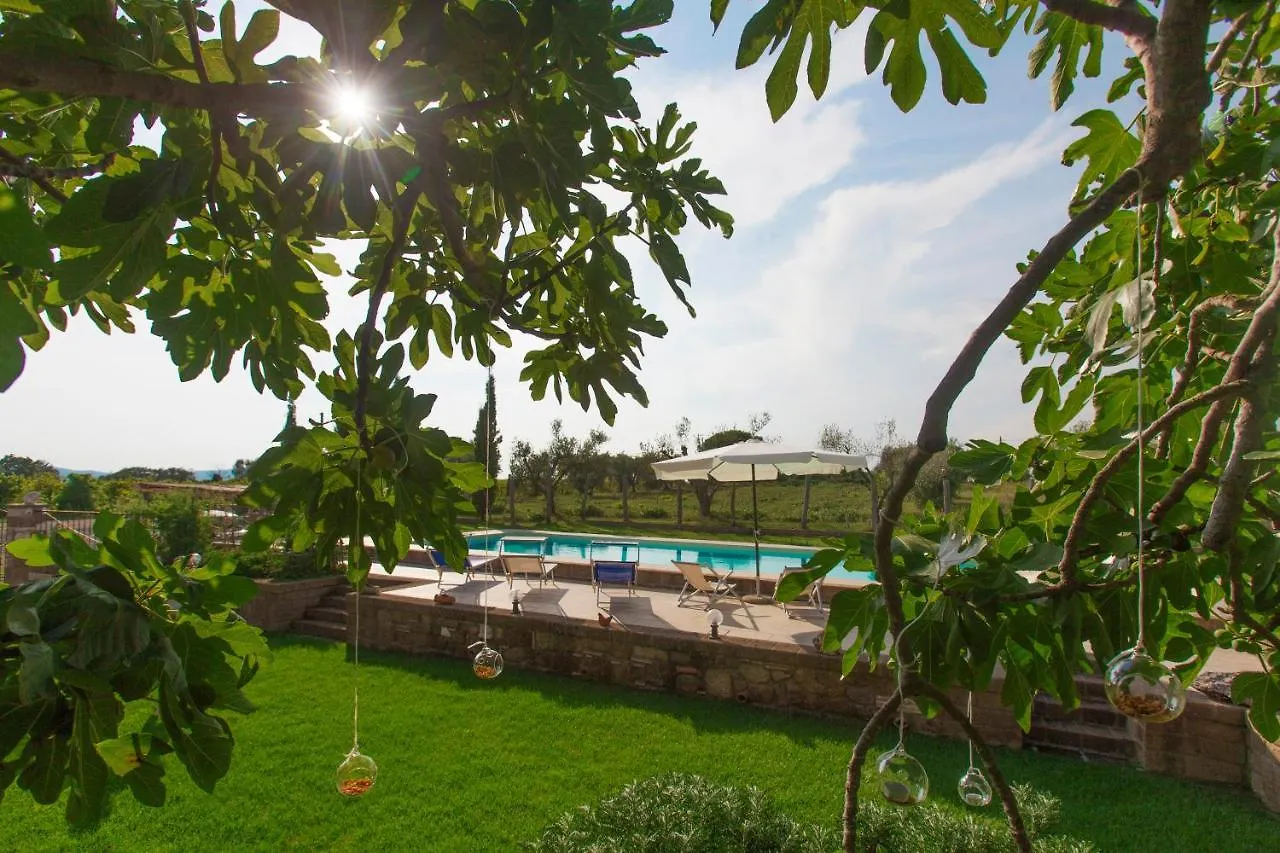 Ficolivo Bed & Breakfast Pitigliano Italy